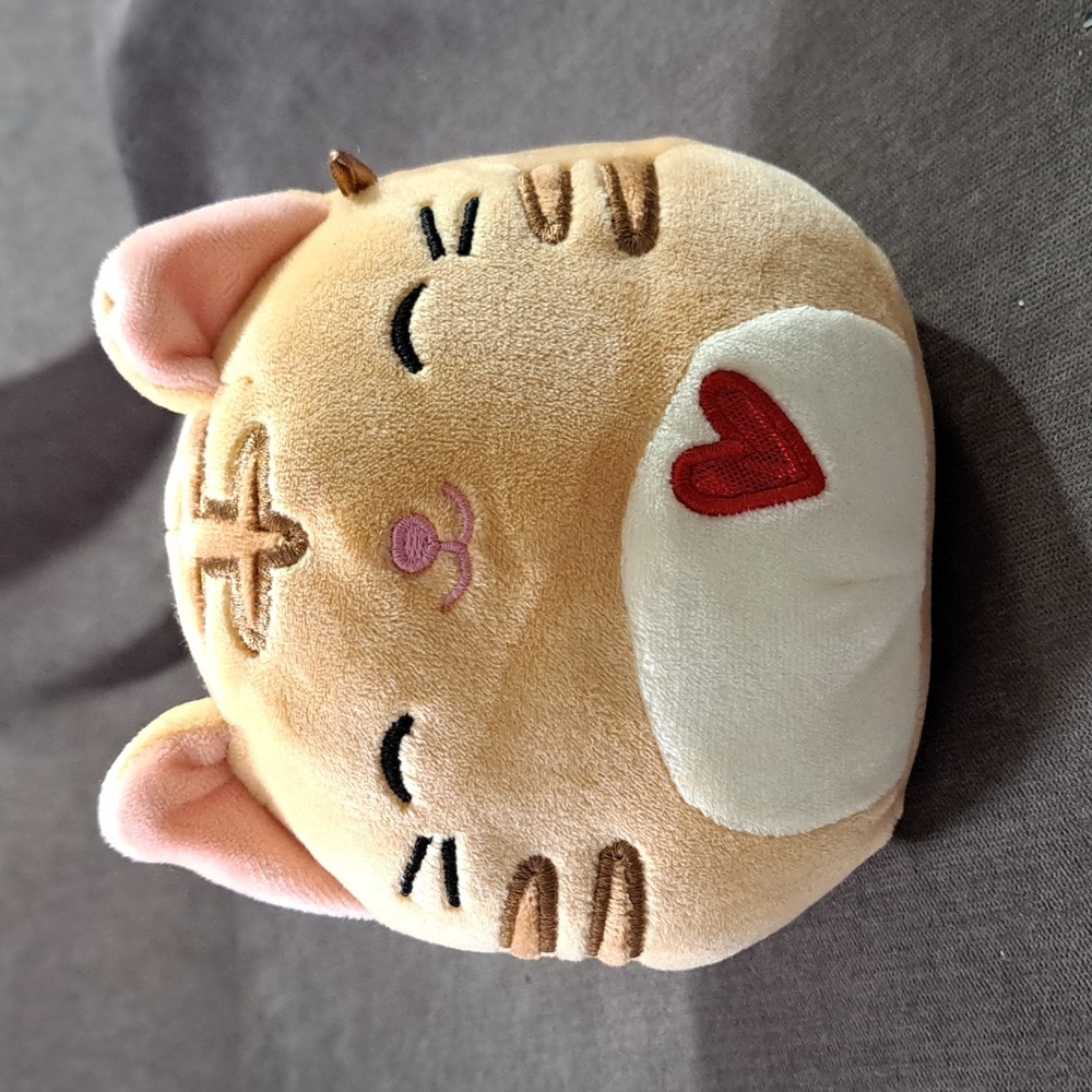 Squishmallows Nathan The Cat (Cnd Valentine Exclusive) Stuffed Toy Plush VG 5"